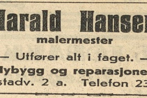Bilde av Malermester Harald Hansen